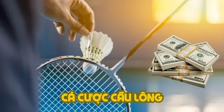Hướng Dẫn Cá Cược Cầu Lông F8Bet Từ A Đến Z Cho Người Mới
