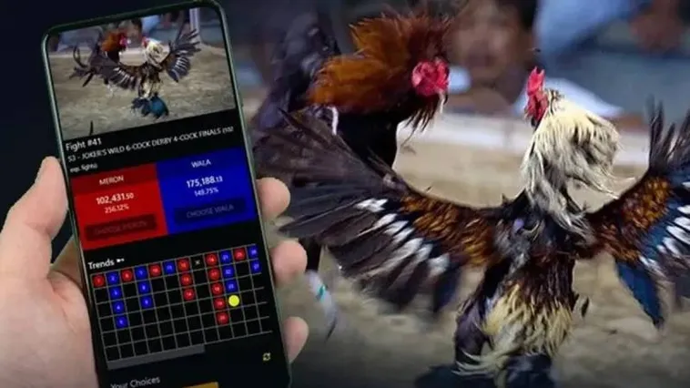 Trải Nghiệm Đá Gà F8Bet Đỉnh Cao Rinh Thưởng Khủng Mỗi Ngày